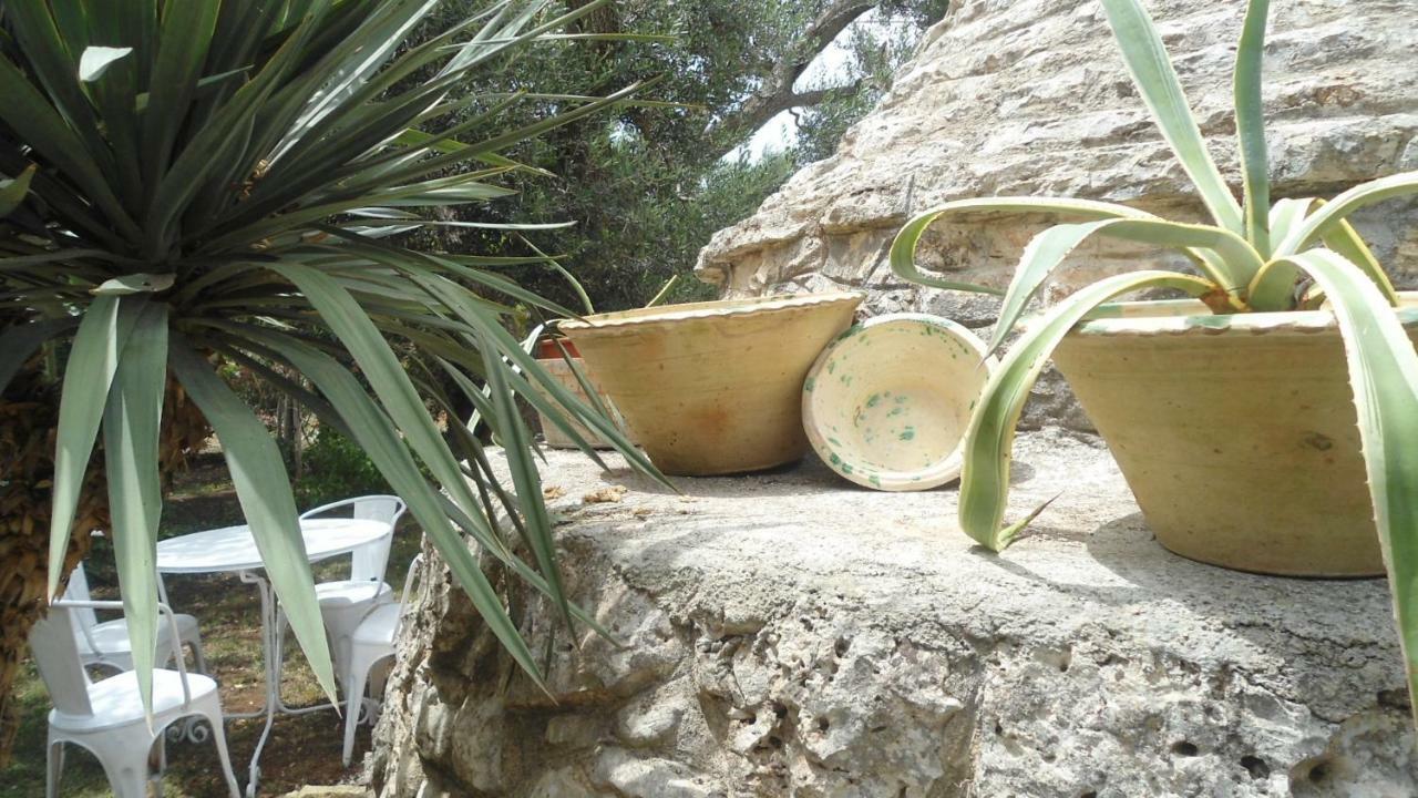 弗兰卡维拉丰塔纳Il Trullo Del Cadetto别墅 外观 照片